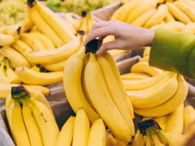 Czy w bananach jest cholesterol?